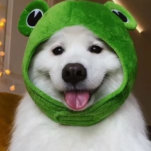 Meet your Posher, Big